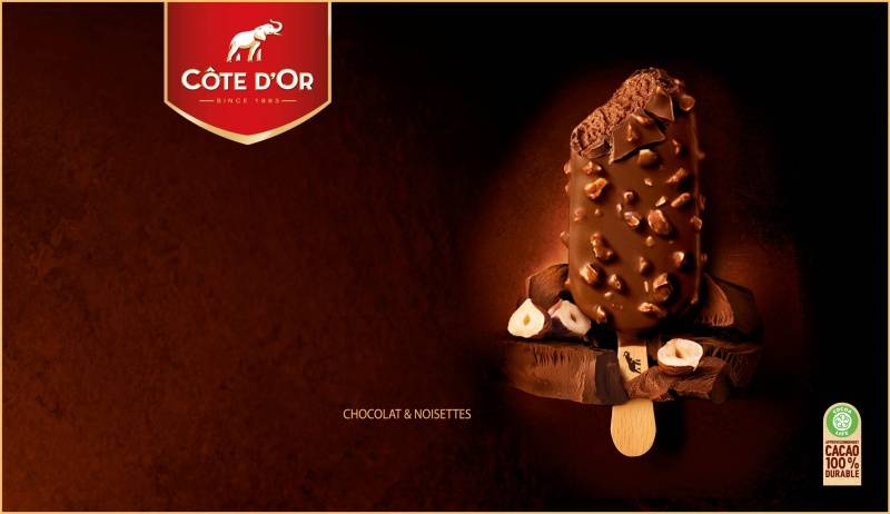 Bâtonnet Cote d'Or chocolat, chocolat lait et noisette 20x65g
