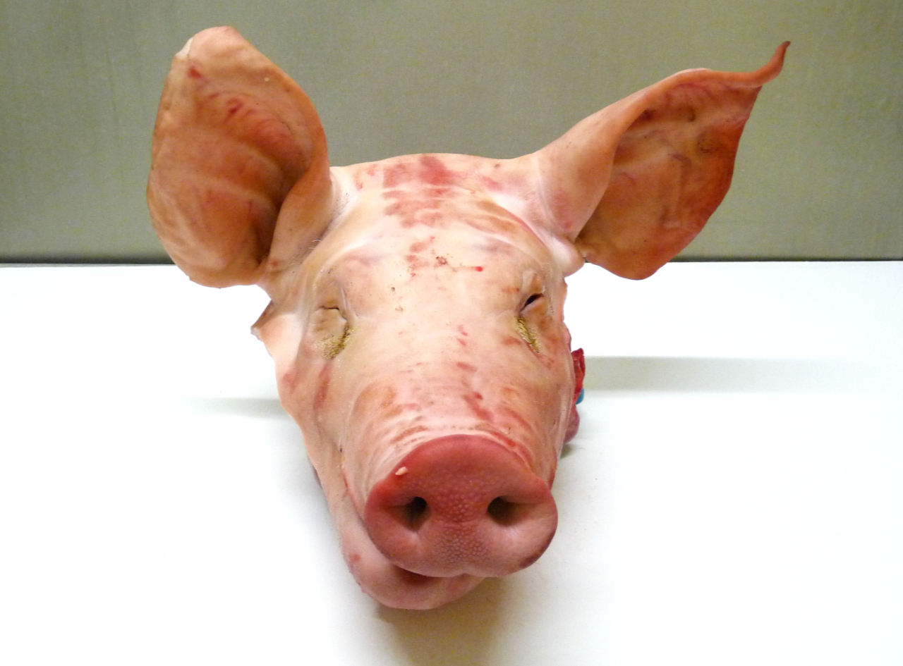 Tête entière de porc avec langue et cervelle - 5kg