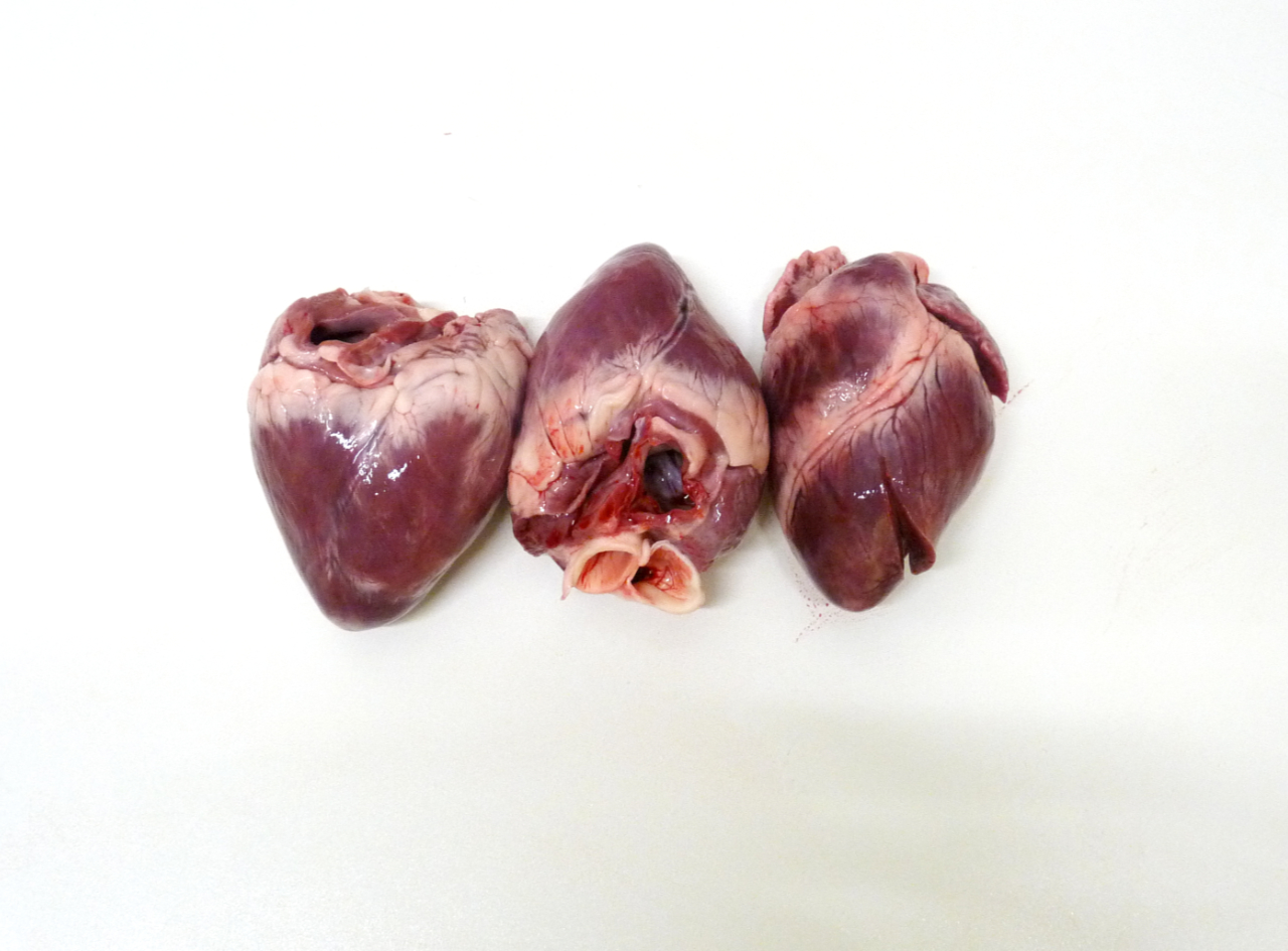 Coeur de Porc au kg
