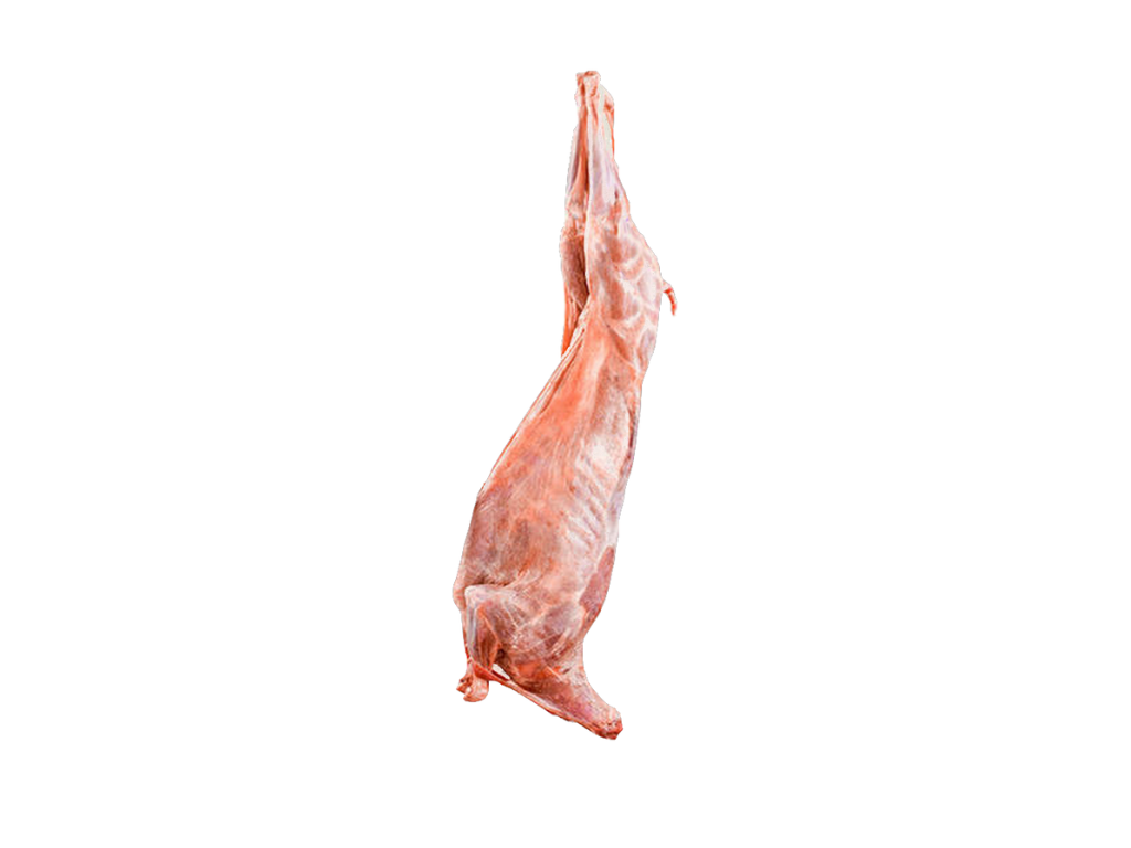 Agneau entier frais POUR MÉCHOUI env 18 kg 