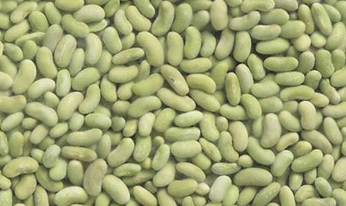 Flageolets verts fins surgelés 2,5kg