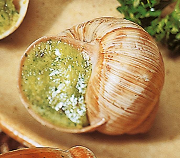 Escargots de Bourgogne  surgelés - 48x≃7g