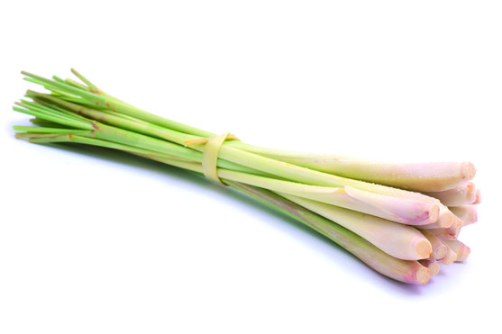 Citronelle fraiche en baton sachet 100g
