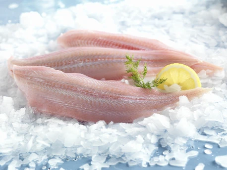 Filets de sole tropical calibre surgelé - 20x - 80/120g