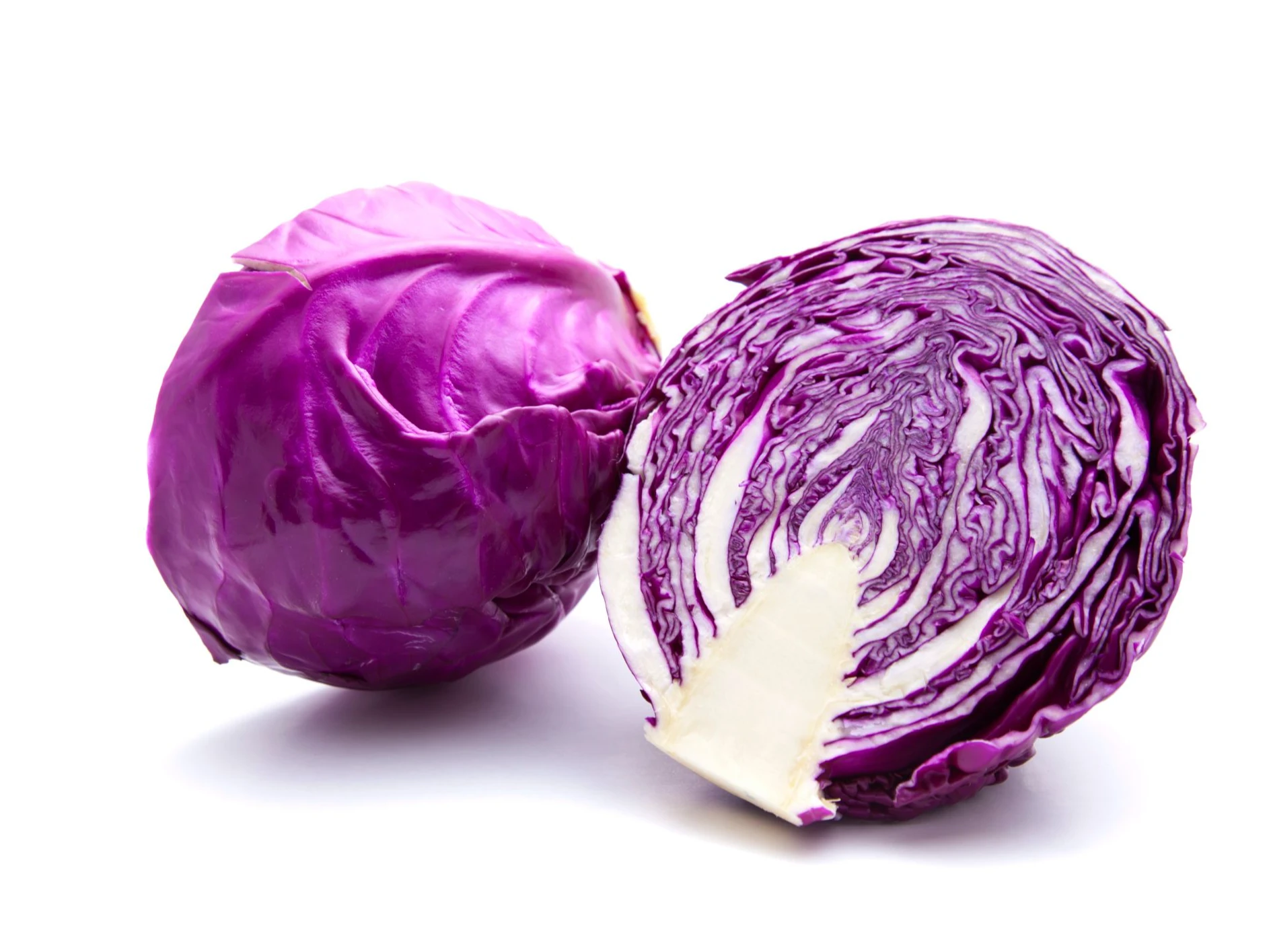 Choux rouge France PIèce