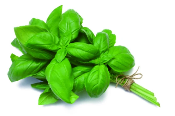  Menthe catégorie 1 sachet 30gr