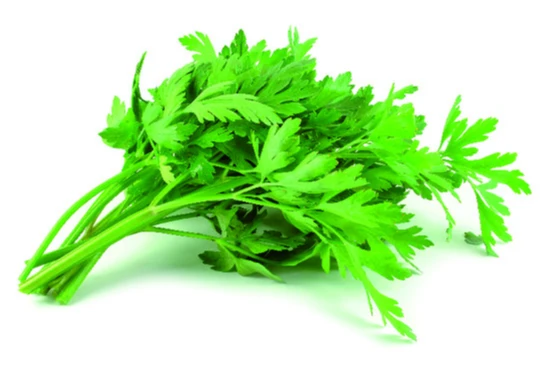 Persil plat  - herbe fraiche - la botte - Local