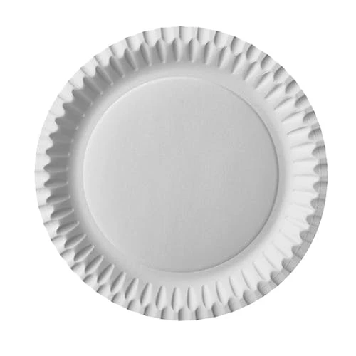 Assiettes en carton blanche 23cmx23