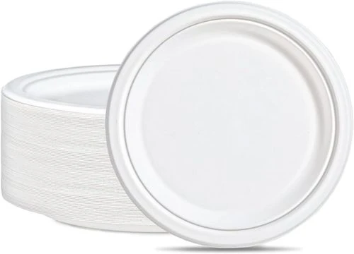Assiette plastique ronde blanches 25cm x24