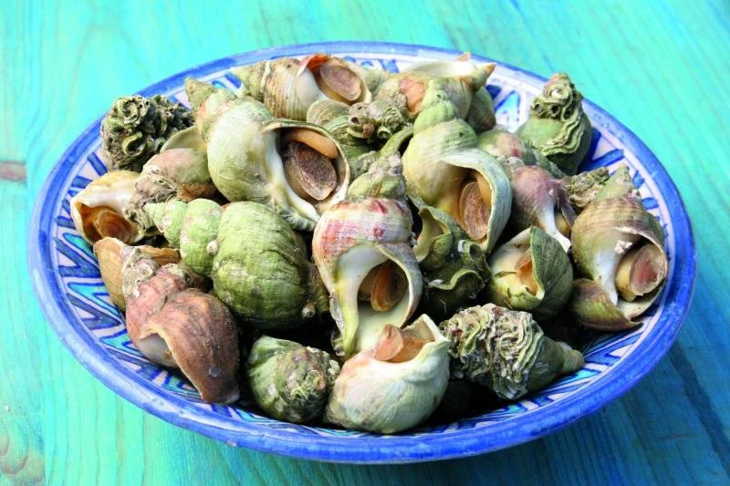 Bulot cuit surg 3kg 