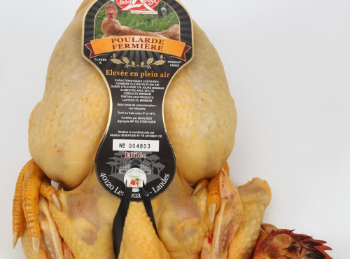 Poularde Fermière jaune label rouge PAC 2kg