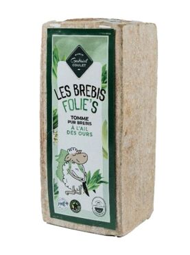 Brique Brebis Ail Des Ours env 2.2k