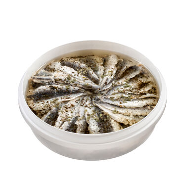 Filet de sardine basilic 1kg