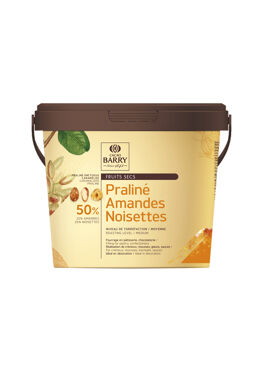 Praliné amandes noisettes Cacao Barry - 1kg