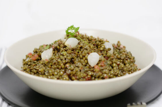 Salade lentilles aux oignons 1.5kg