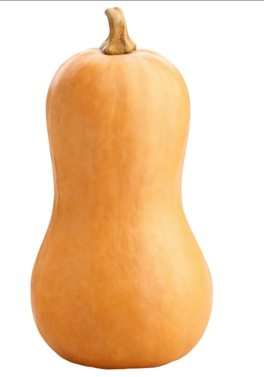 Butternut France à la pièce 