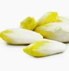 Endive Prince de bretagne