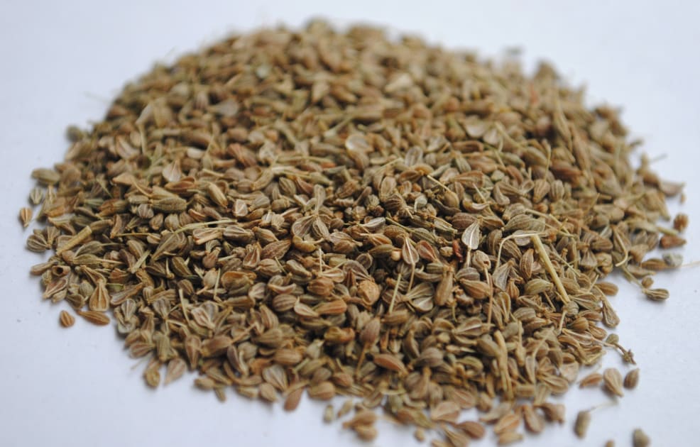 Carvi graines 49g — vue 2