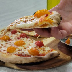 Box pâte à pizza Ø29  220gr -4x10 unit — vue 2