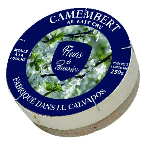 Camembert lait cru  22%MG 250g