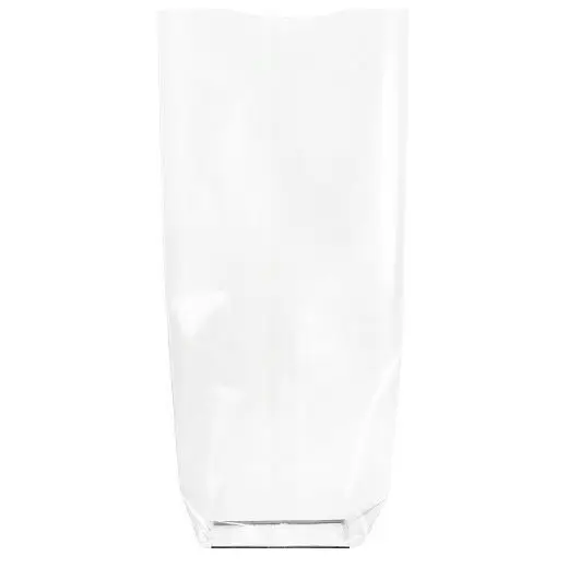 Sachet avec fond carton 120 x 260 mm - pack de 100 unités